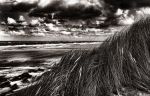 Vlieland, 30 Oktober 2013