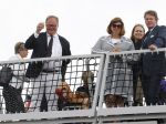 Amsterdam 19 Augustus 2015
Sail Amsterdam 2015
Hans v Baalen