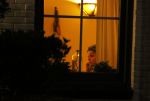 Loosdrecht 3 oktober 2015
Waylon en Joelle Witschge eten samen bij een argentijns restaurant in Loosdrecht en gaan daarna samen naar zijn huis.
