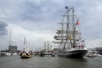 Amsterdam 19 Augustus 2015
Sail Amsterdam 2015