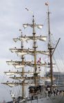Amsterdam 19 Augustus 2015
Sail Amsterdam 2015