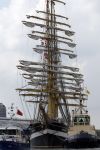 Amsterdam 19 Augustus 2015
Sail Amsterdam 2015