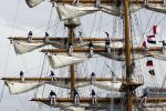 Amsterdam 19 Augustus 2015
Sail Amsterdam 2015