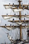 Amsterdam 19 Augustus 2015
Sail Amsterdam 2015