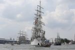 Amsterdam 19 Augustus 2015
Sail Amsterdam 2015