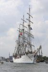 Amsterdam 19 Augustus 2015
Sail Amsterdam 2015