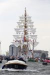 Amsterdam 19 Augustus 2015
Sail Amsterdam 2015