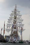 Amsterdam 19 Augustus 2015
Sail Amsterdam 2015