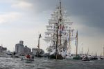 Amsterdam 19 Augustus 2015
Sail Amsterdam 2015
