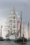 Amsterdam 19 Augustus 2015
Sail Amsterdam 2015