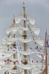 Amsterdam 19 Augustus 2015
Sail Amsterdam 2015