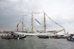 Amsterdam 19 Augustus 2015
Sail Amsterdam 2015