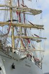 Amsterdam 19 Augustus 2015
Sail Amsterdam 2015