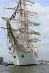 Amsterdam 19 Augustus 2015
Sail Amsterdam 2015