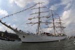 Amsterdam 19 Augustus 2015
Sail Amsterdam 2015