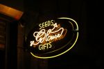 Amsterdam 17 september 2015
Justin Bieber en Martin Garrix gaan eerst naar coffeeshop the greenhouse en vervolgens naar het appartement van Martin Garrix