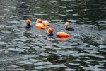 Amsterdam 11 september 2016
Amsterdam city swim tbv ALS door de amsterdamse grachten. Johnny de Mol met manager Carlijn de Vries Ralph en Daniel de Vries