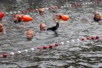 Amsterdam 11 september 2016
Amsterdam city swim tbv ALS door de amsterdamse grachten. Johnny de Mol met manager Carlijn de Vries Ralph en Daniel de Vries