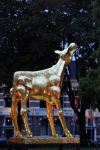 Utrecht 29 september 2017
Uitreiking gouden kalveren in de schouwburg van Utrecht