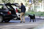 Amsterdam 13 september 2018
Robert ten Brink en zijn vrouw Roos laten hun twee honden uit in het amsterdamse bos.
