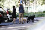 Amsterdam 13 september 2018
Robert ten Brink en zijn vrouw Roos laten hun twee honden uit in het amsterdamse bos.