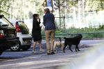 Amsterdam 13 september 2018
Robert ten Brink en zijn vrouw Roos laten hun twee honden uit in het amsterdamse bos.