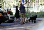 Amsterdam 13 september 2018
Robert ten Brink en zijn vrouw Roos laten hun twee honden uit in het amsterdamse bos.