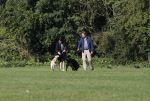 Amsterdam 13 september 2018
Robert ten Brink en zijn vrouw Roos laten hun twee honden uit in het amsterdamse bos.