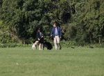 Amsterdam 13 september 2018
Robert ten Brink en zijn vrouw Roos laten hun twee honden uit in het amsterdamse bos.