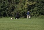 Amsterdam 13 september 2018
Robert ten Brink en zijn vrouw Roos laten hun twee honden uit in het amsterdamse bos.