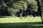 Amsterdam 13 september 2018
Robert ten Brink en zijn vrouw Roos laten hun twee honden uit in het amsterdamse bos.