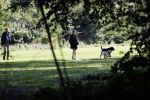 Amsterdam 13 september 2018
Robert ten Brink en zijn vrouw Roos laten hun twee honden uit in het amsterdamse bos.