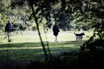 Amsterdam 13 september 2018
Robert ten Brink en zijn vrouw Roos laten hun twee honden uit in het amsterdamse bos.