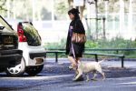 Amsterdam 13 september 2018
Robert ten Brink en zijn vrouw Roos laten hun twee honden uit in het amsterdamse bos.