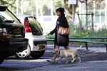 Amsterdam 13 september 2018
Robert ten Brink en zijn vrouw Roos laten hun twee honden uit in het amsterdamse bos.