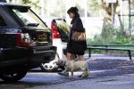 Amsterdam 13 september 2018
Robert ten Brink en zijn vrouw Roos laten hun twee honden uit in het amsterdamse bos.