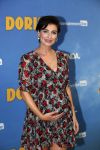 Amsterdam 17 september 2018
Premiere Doris in Tuschinski. De cast bestaat uit oa Tjitske Reidinga Guy Clemens Bracha v Doesburgh Tanik Moree Peter Blok .  Vivienne v d Assem zwanger