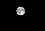 Nigtevecht 25 september 2018
Volle maan.