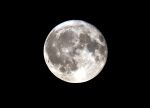 Nigtevecht 25 september 2018
Volle maan.