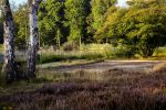 Valkenswaard, 20 September 2019
Eindhovensche Golf, Ven, Clubhuis