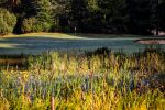 Valkenswaard, 20 September 2019
Eindhovensche Golf, Ven, Clubhuis