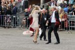 Den Haag 17 september 2019
Prinsjesdag 2019 op het binnenhof.
Hoedje waait weg