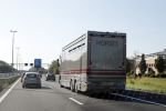 Amersfoort 24 augustus 2019
Koninklijke paardenwagen op de A1