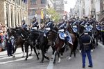 Den Haag 17 september 2019
Prinsjesdag 2019 op het binnenhof.