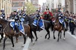 Den Haag 17 september 2019
Prinsjesdag 2019 op het binnenhof.