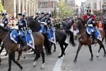 Den Haag 17 september 2019
Prinsjesdag 2019 op het binnenhof.