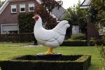 Barneveld 12 oktober 2020
Een kip voor een boerderij in Barneveld