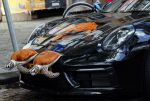 Amsterdam 7 oktober 2020
Bas Smit rijdt in een porsche met schildpadden erop. Bas heeft mer dan 600k opgehaald voor het prinses Maxima centrum