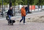 Utrecht 27 september 2020
Premiere I.M. tijdens filmdagen in Utrecht. Frank Houtappels met partner Hendrik Jan en hun hond