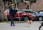 Amsterdam 7 oktober 2020
Mark Baanders met zijn hond in Amsterdam zuid. (Powned verslaggever)
